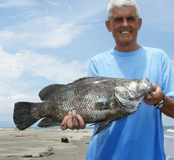 Fliegenfischen auf Tripletail